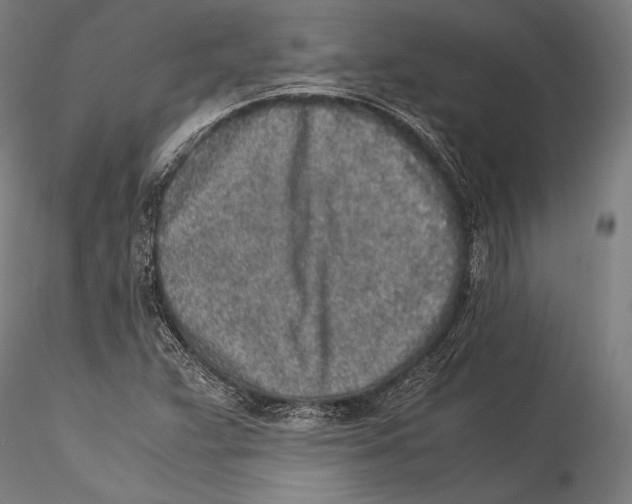 X0000115301359200911301504