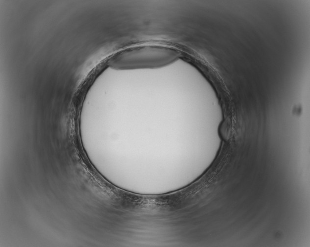 X0000115301360200911301504