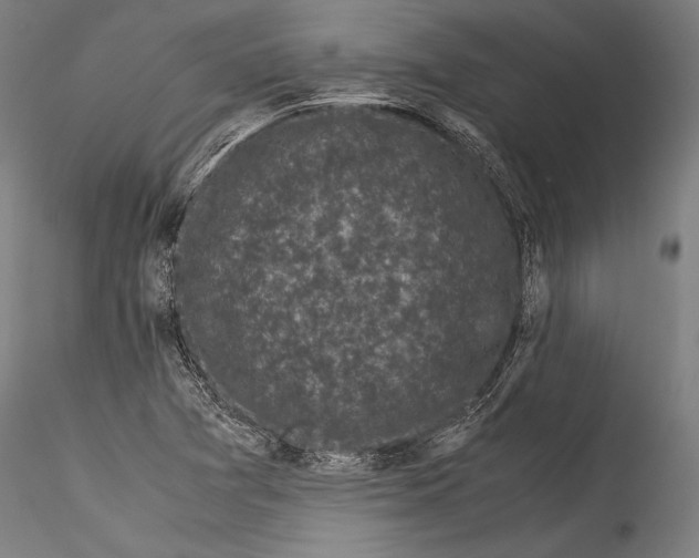 X0000115301361200911301504