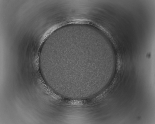 X0000115301362200911301504