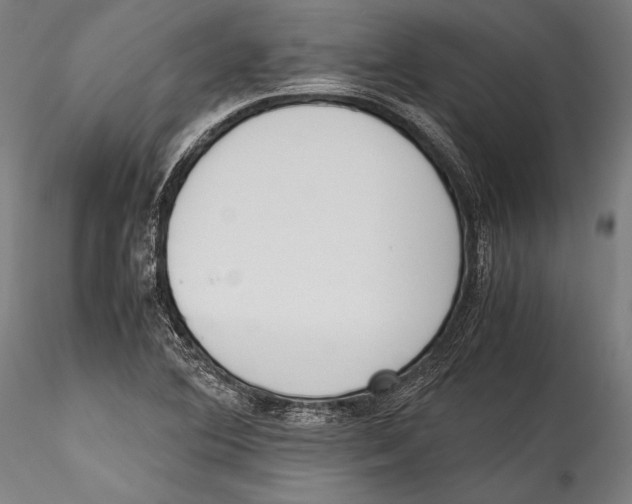 X0000115301364200911301504