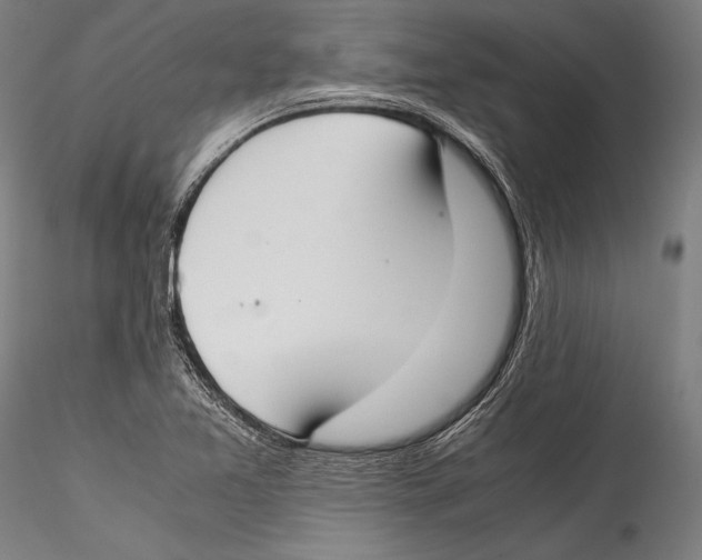 X0000115301365200911301504