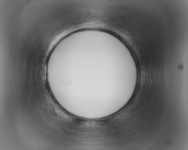 X0000115301366200911301504