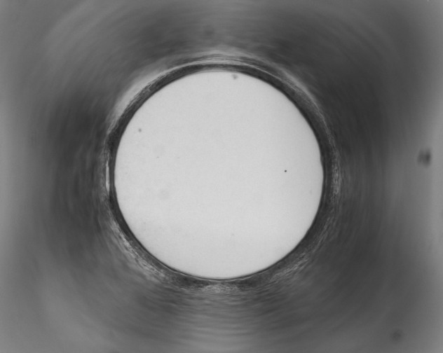 X0000115301368200911301504