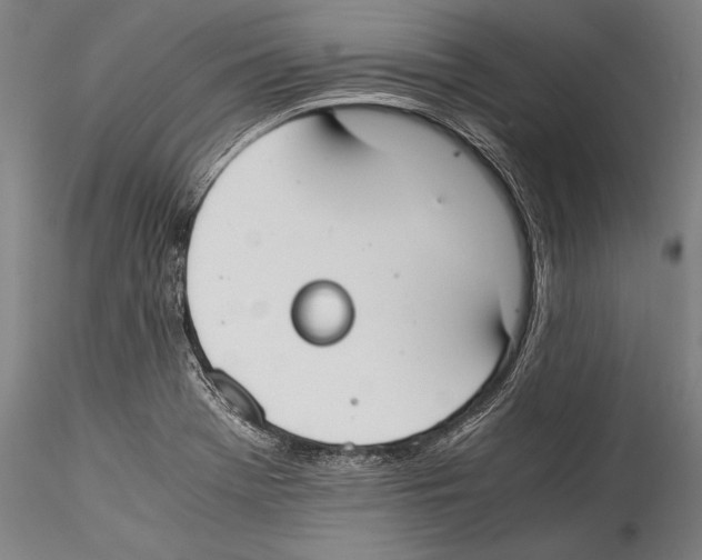 X0000115301369200911301504