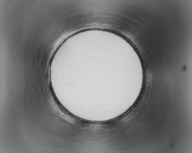 X0000115301371200911301504