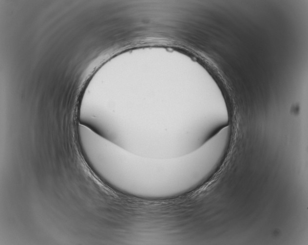 X0000115301373200911301504