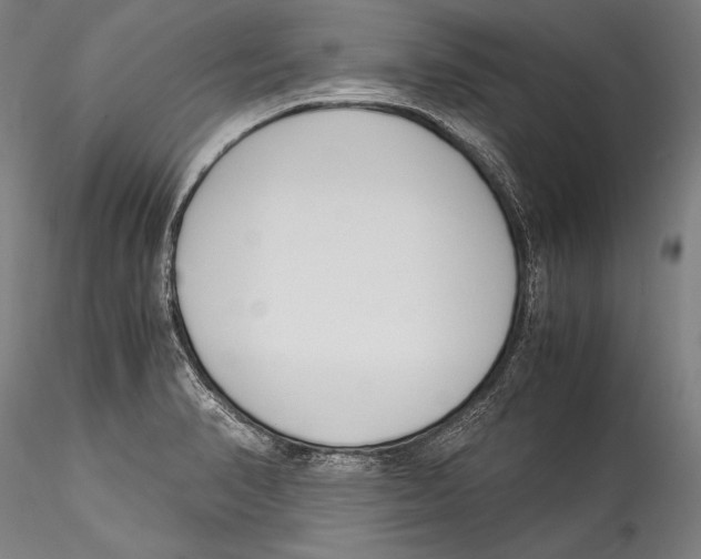 X0000115301374200911301504