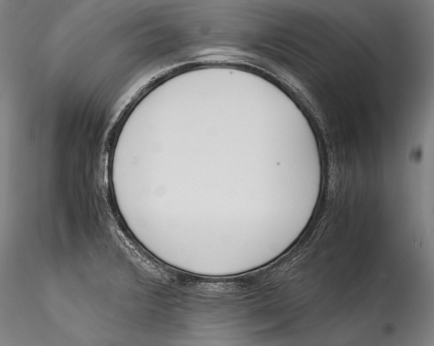 X0000115301376200911301504