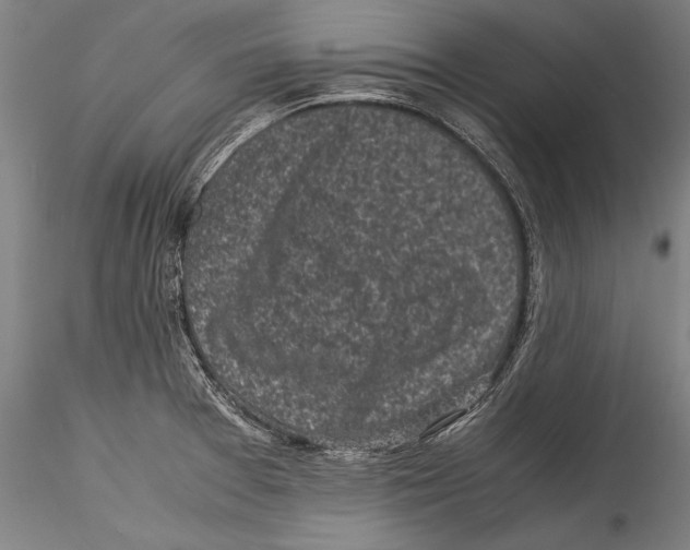 X0000115301377200911301504