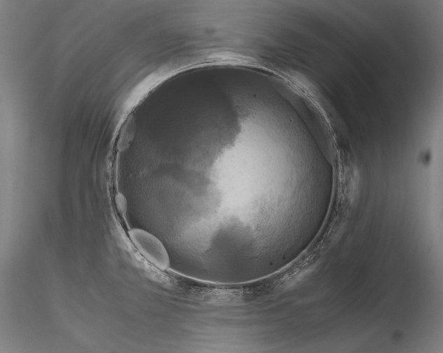 X0000115301381200911301504