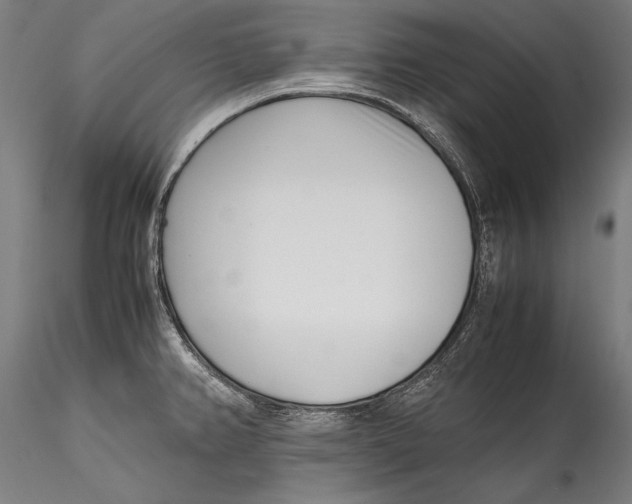 X0000115301382200911301504