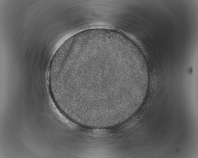 X0000115301383200911301503