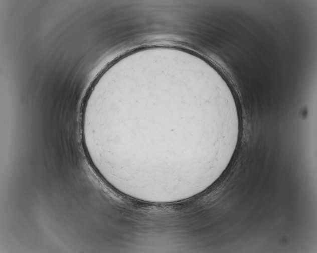 X0000115301384200911301503