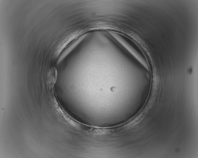 X0000115301385200911301503