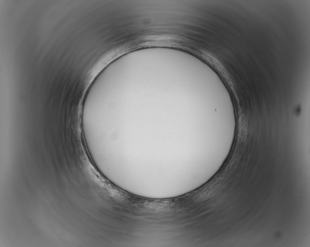 X0000115301386200911301503