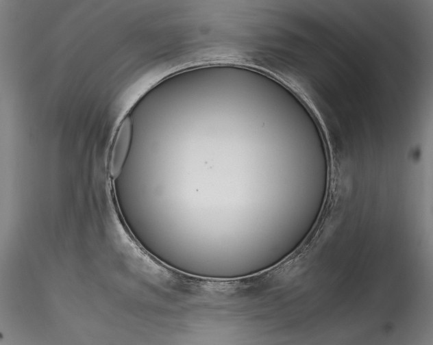 X0000115301389200911301503