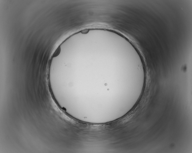 X0000115301390200911301503