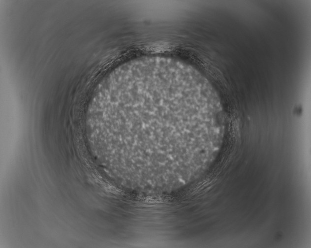 X0000115301393200911301503