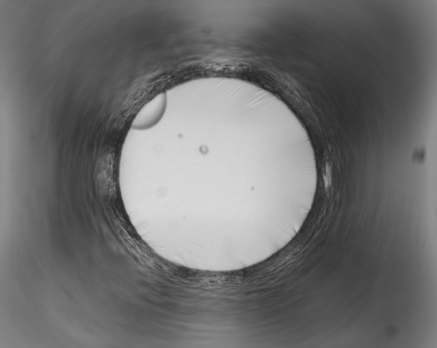 X0000115301396200911301503