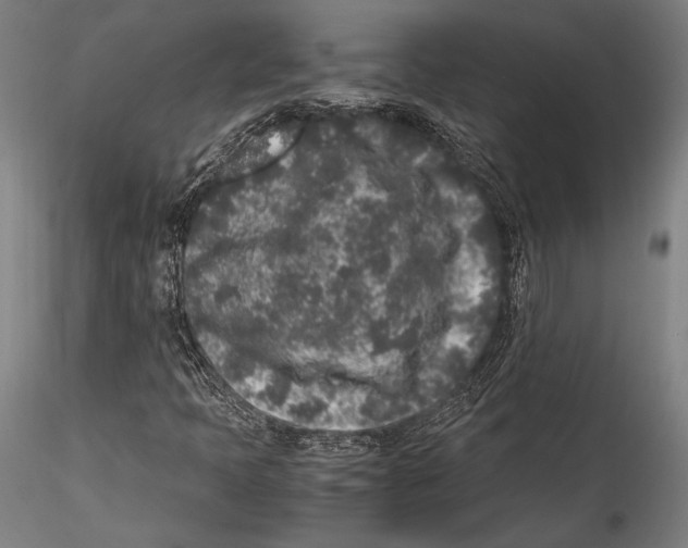 X0000115301397200911301503