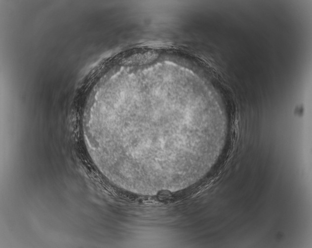 X0000115301398200911301503