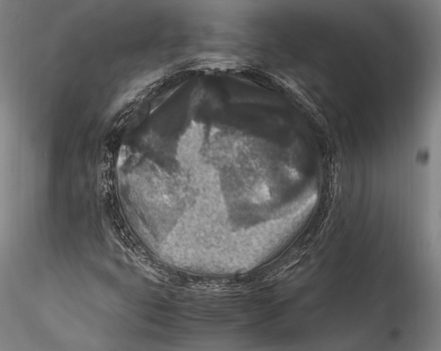 X0000115301399200911301503