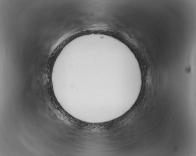 X0000115301400200911301503