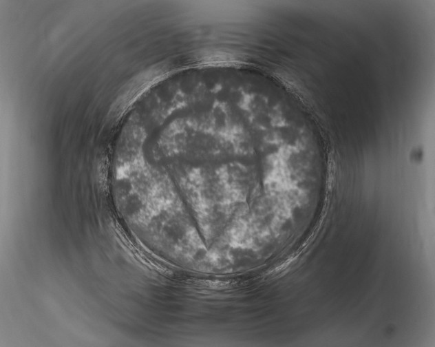 X0000115301401200911301503