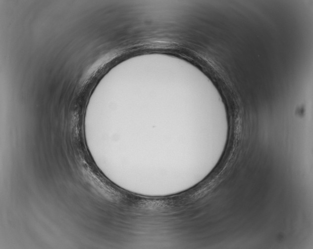 X0000115301402200911301503