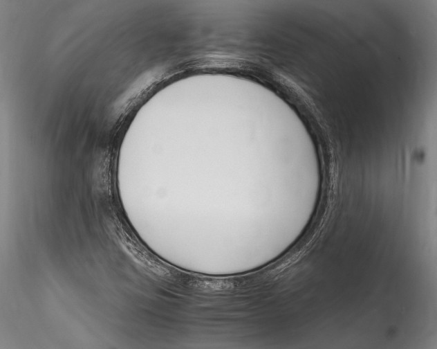 X0000115301403200911301503