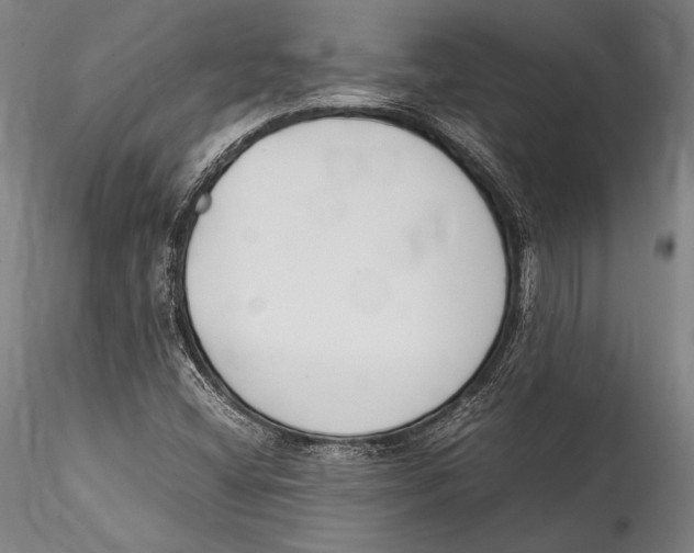 X0000115301404200911301503