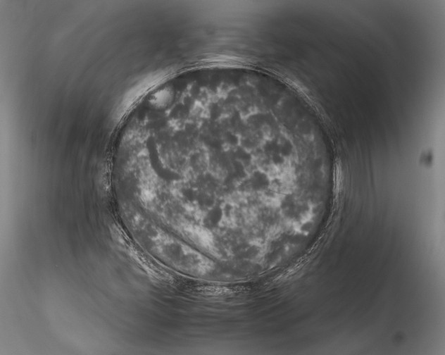 X0000115301405200911301503