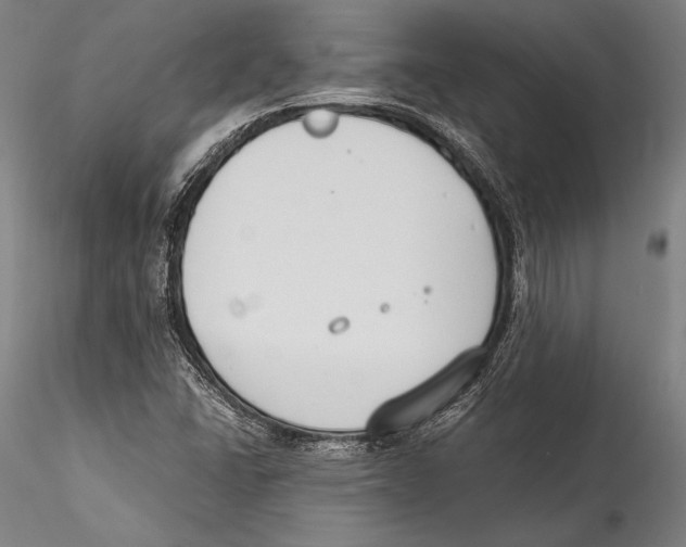 X0000115301406200911301503