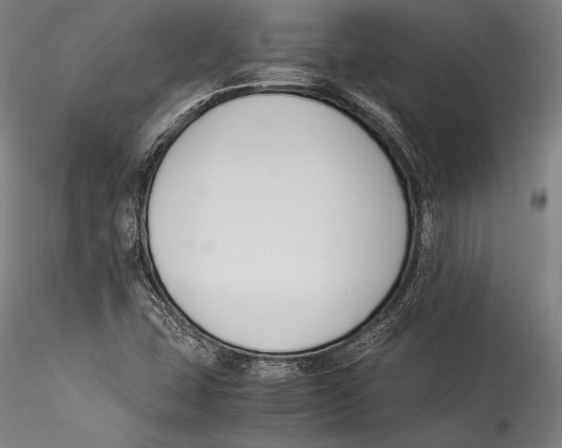 X0000115301407200911301503