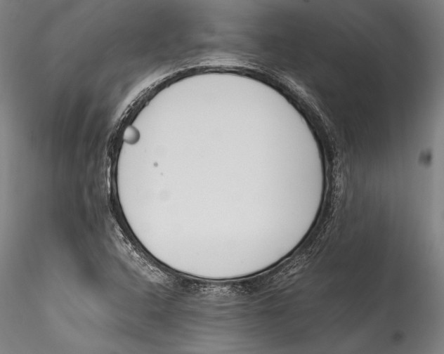 X0000115301408200911301503