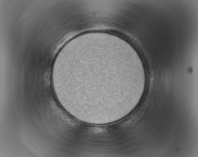 X0000115301409200911301503