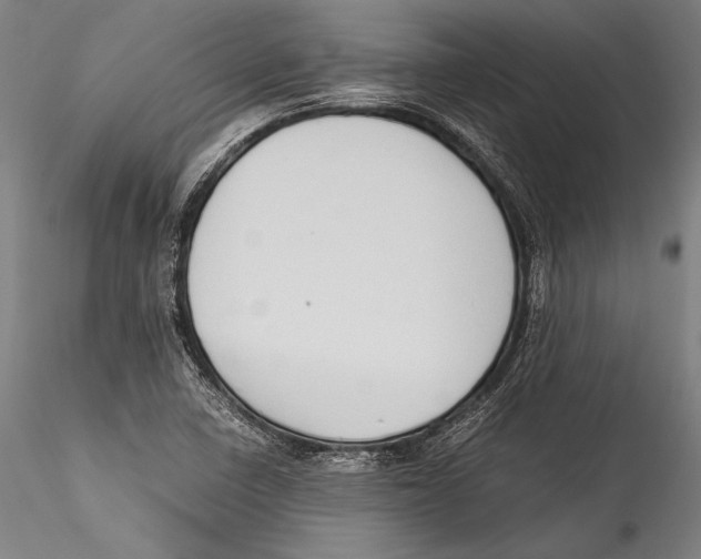 X0000115301410200911301503