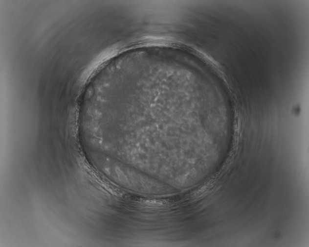 X0000115301411200911301503