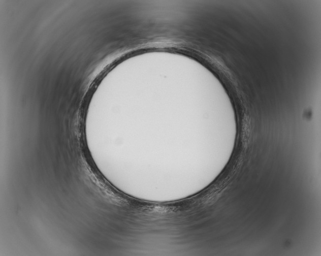 X0000115301412200911301503