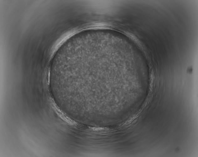 X0000115301413200911301503