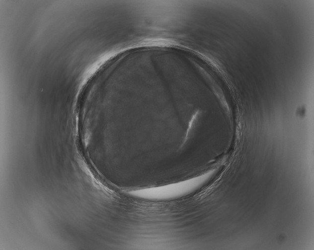 X0000115301414200911301503