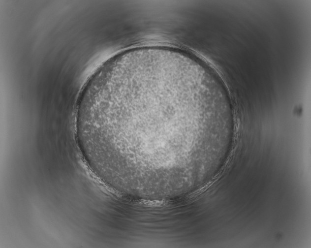 X0000115301415200911301503