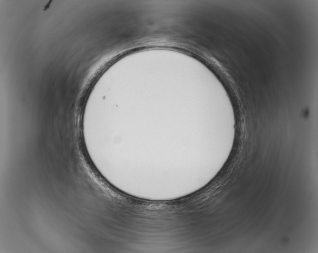 X0000115301416200911301503