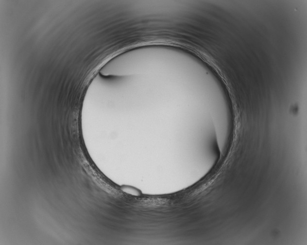 X0000115301417200911301503