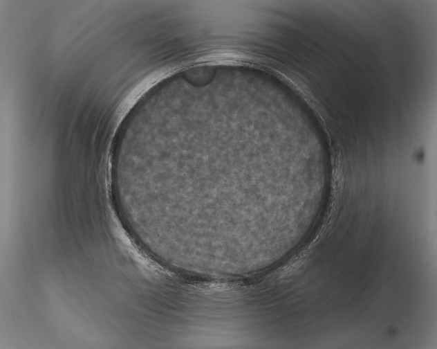 X0000115301418200911301503