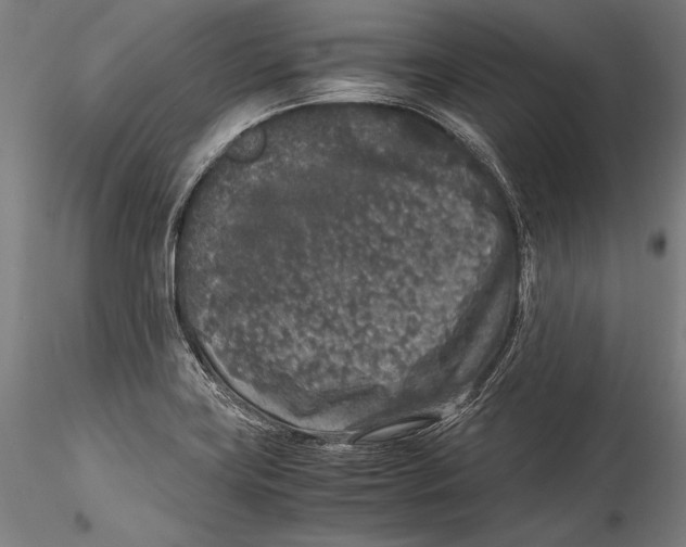 X0000115301419200911301503