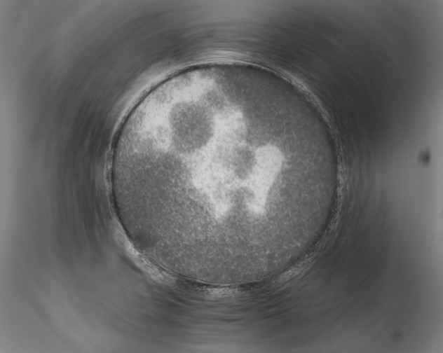 X0000115301421200911301503