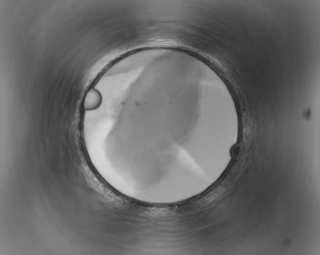 X0000115301422200911301503