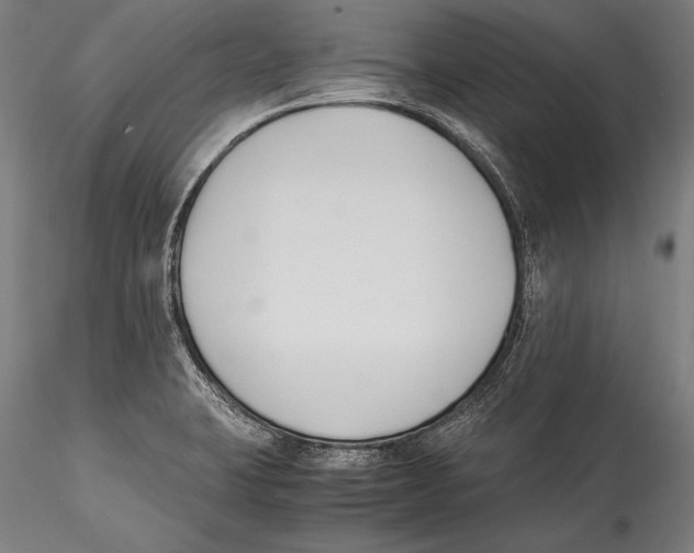 X0000115301423200911301503